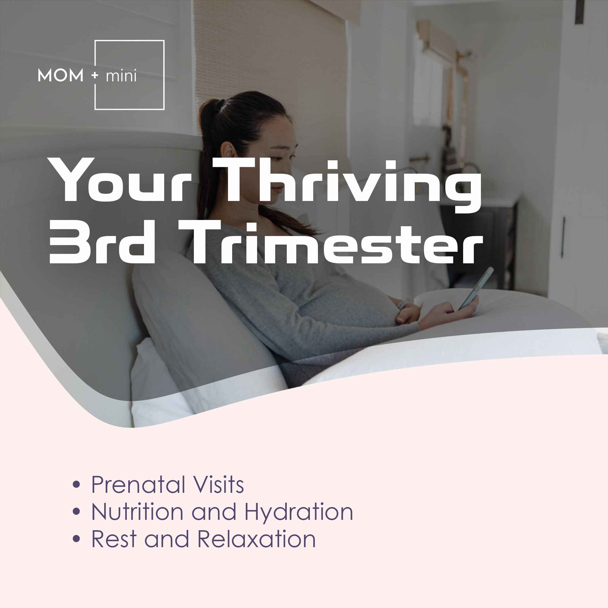 Navigating the Last Trimester of Pregnancy: Tips from Mom + mini